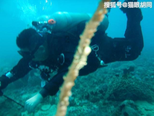 黔医攀登计划在职研究生-知识星球平台,专注于分享与交流